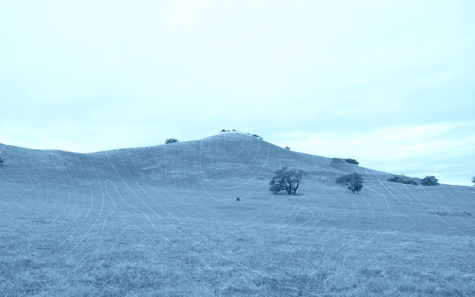 The Hill at Pyalong